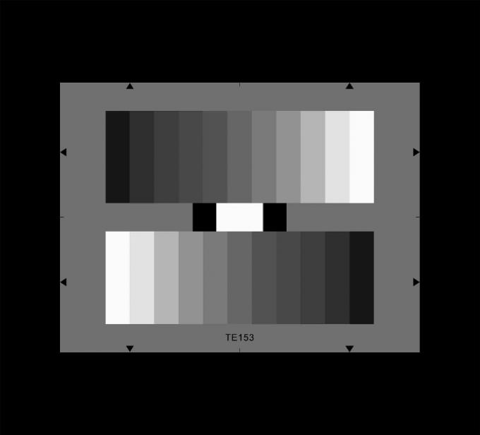 TE153_D_LOGARITHMIC 회색 가늠자 시험 도표